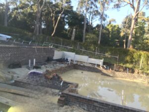 IMG_0919(1)